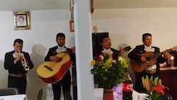 Mariachis DF