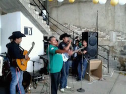 Mariachis DF